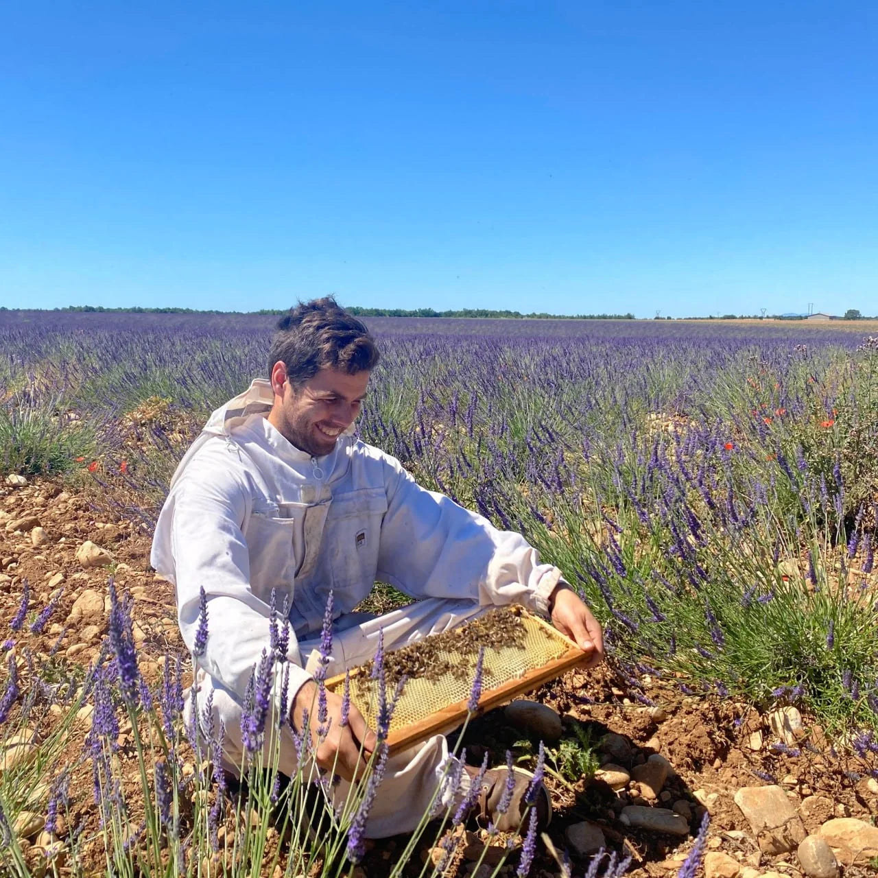 Les Ruchers de la Fauville